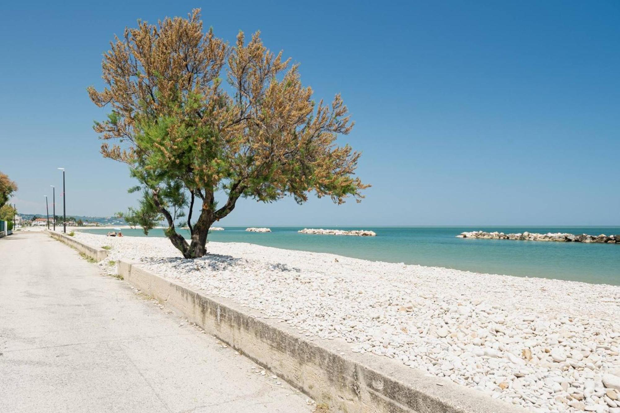 Ostriche - Yourplace Abruzzo โทริโนดิซานโกร ภายนอก รูปภาพ